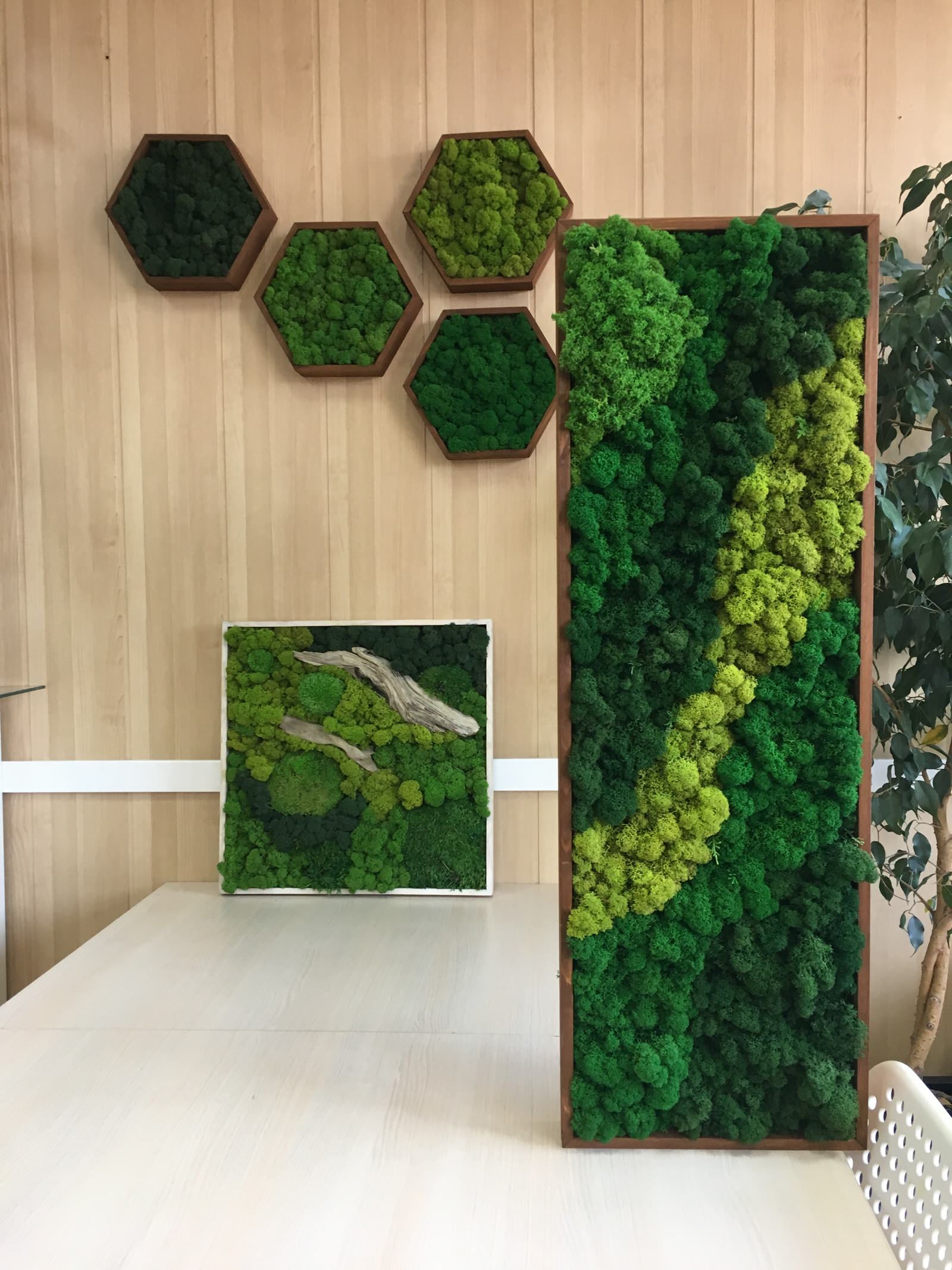 Панно из стабилизированного мха Ягеля и кочек