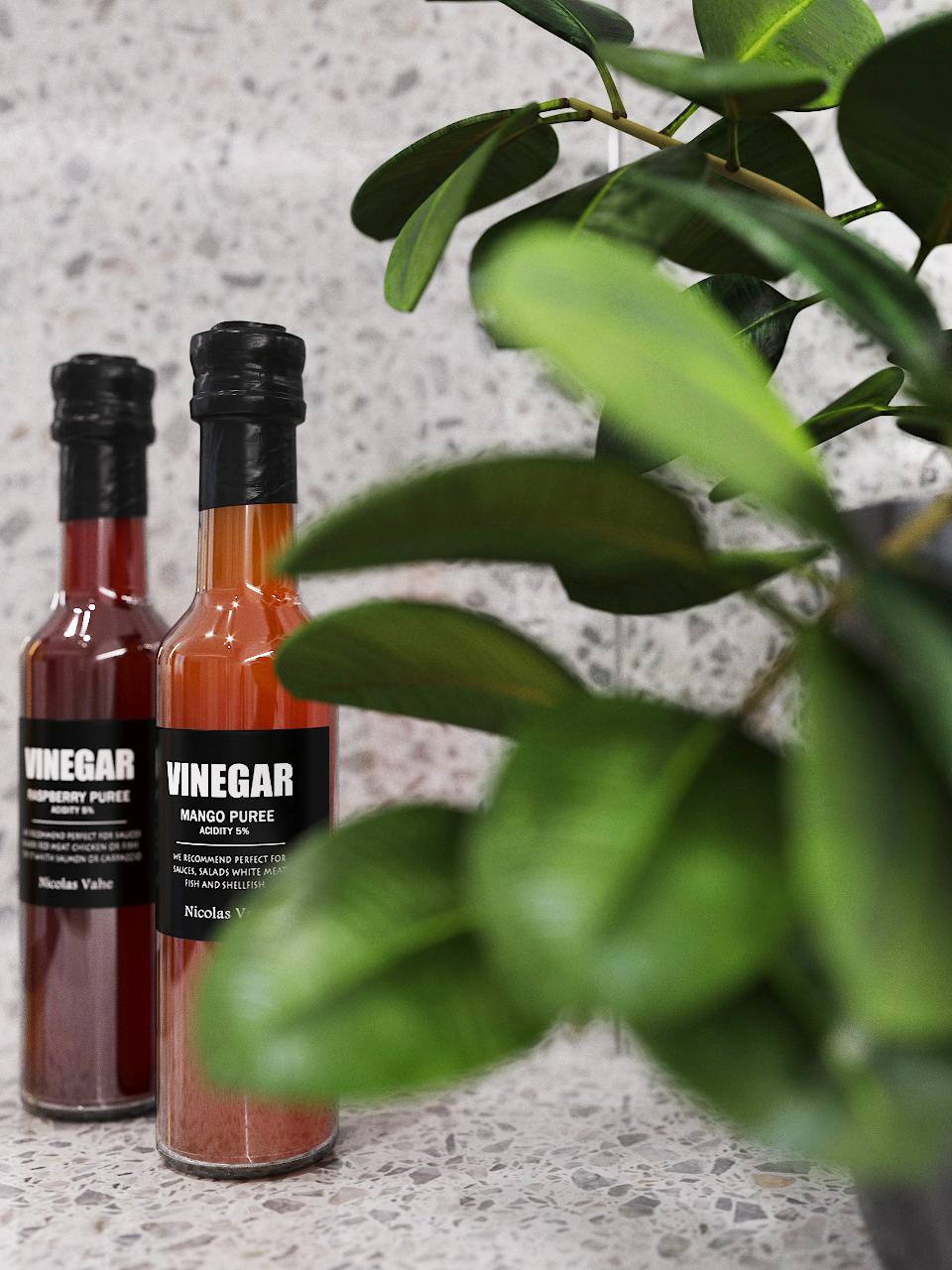 Проект квартиры в Москве