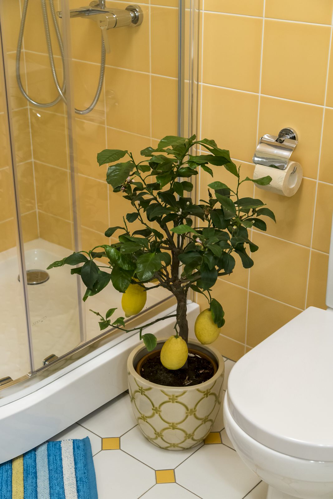 Ремонт на даче режиссера Леонида Гайдай