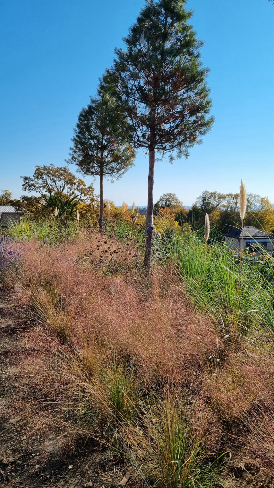 В лучах южного солнца.