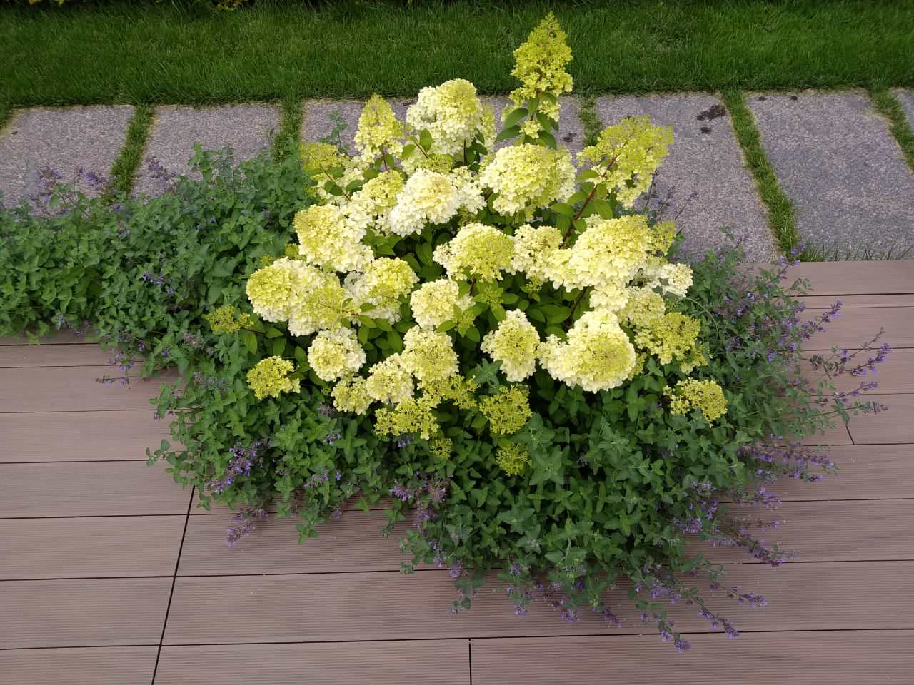 Участок с видом на гольф-поле