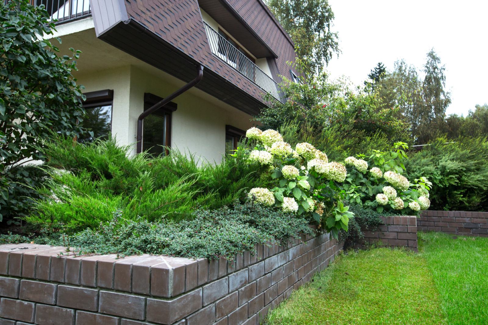 Обложка альбома: Гайд парк