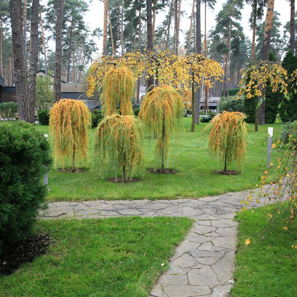 Ландшафтный сад в Горках 2