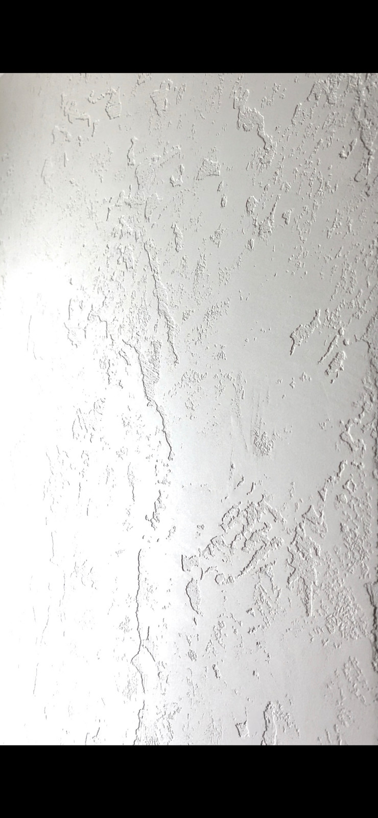 IMG_1538.PNG