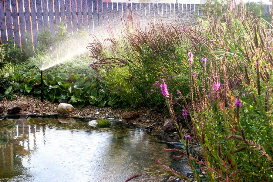 Обложка проекта: Полив в саду. Подмосковье.