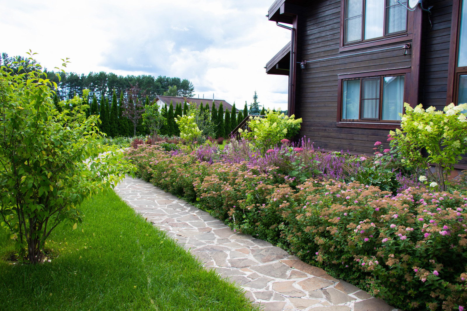 Сосновые берега