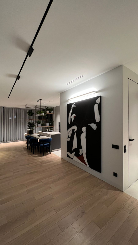 Фотосессия  - двери, мебель и перегородки в московской квартире