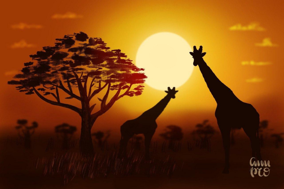 DigitalArt Sonnenuntergang Afrika