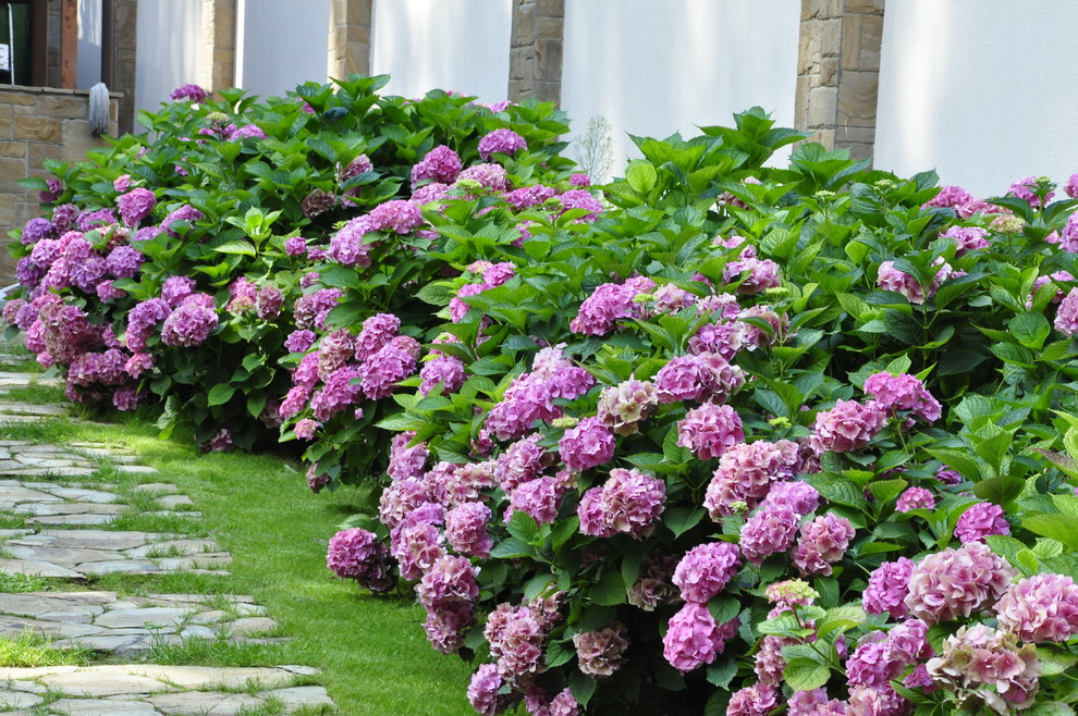 кп "Успенские дачи" - Уход за садом - 100% качество!