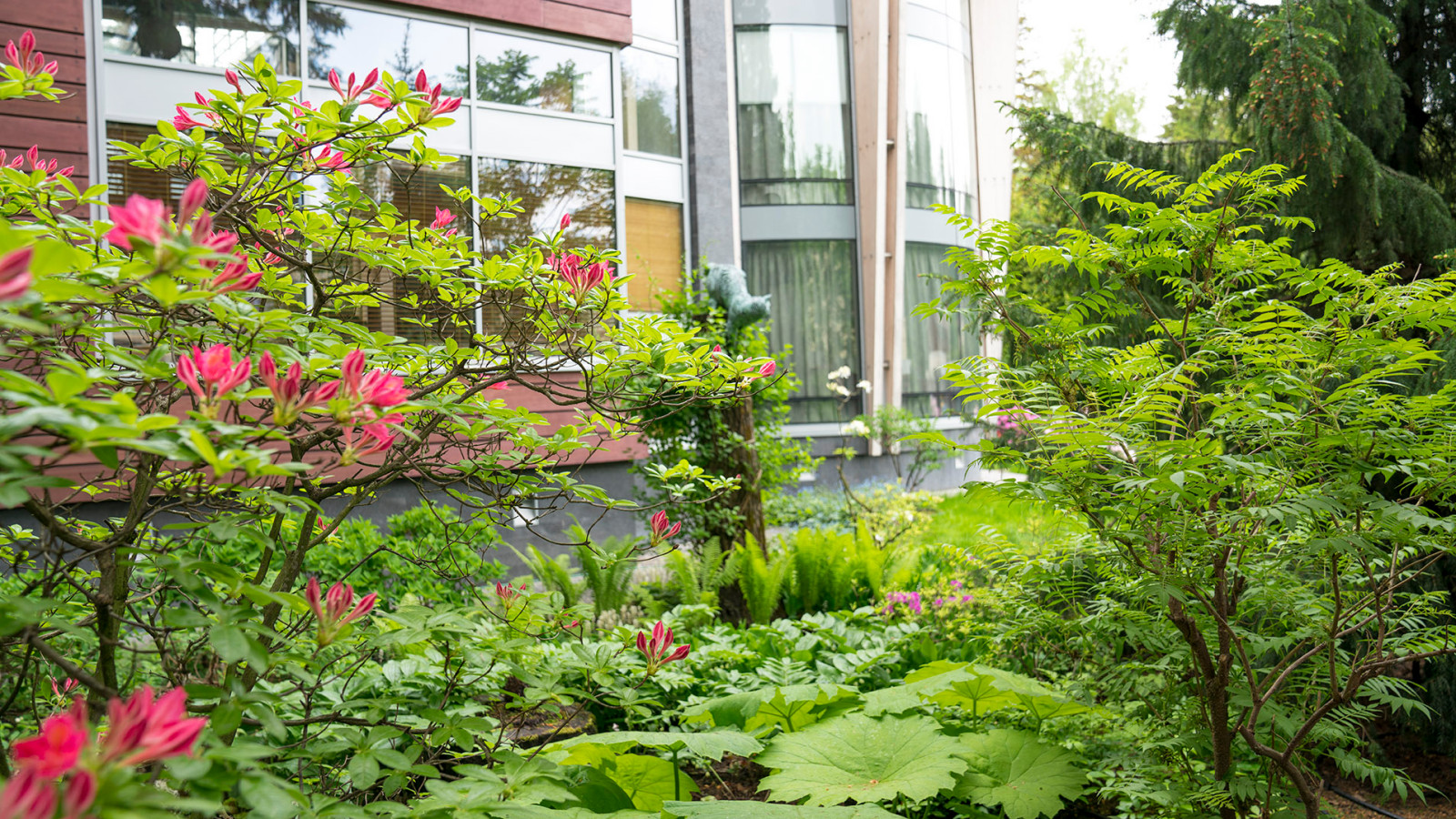 Сад с японским характером в КП  "Ландшафт", Усово 2010 г