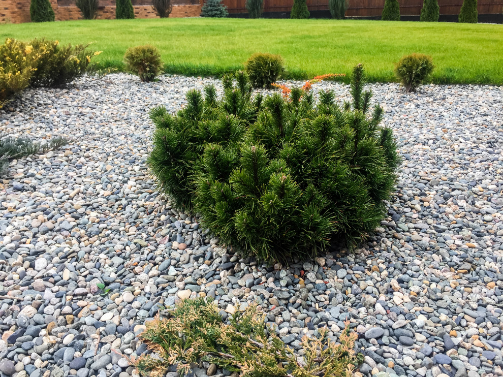 Беломестное