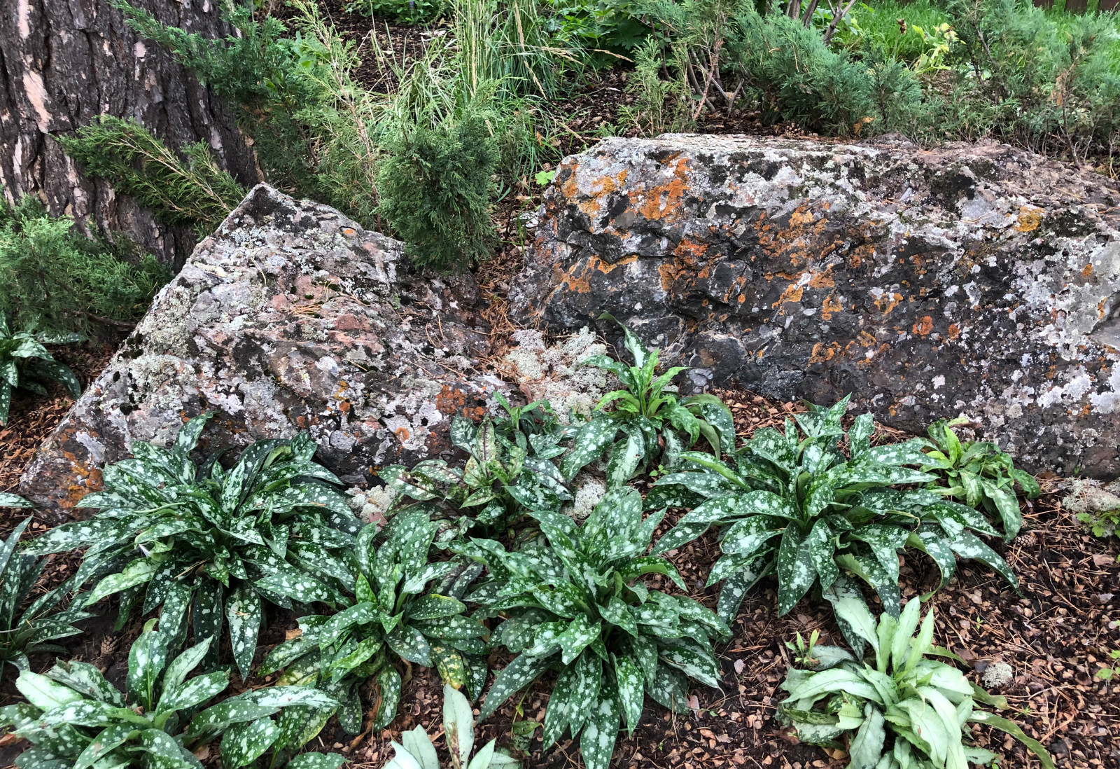 Просторный сад