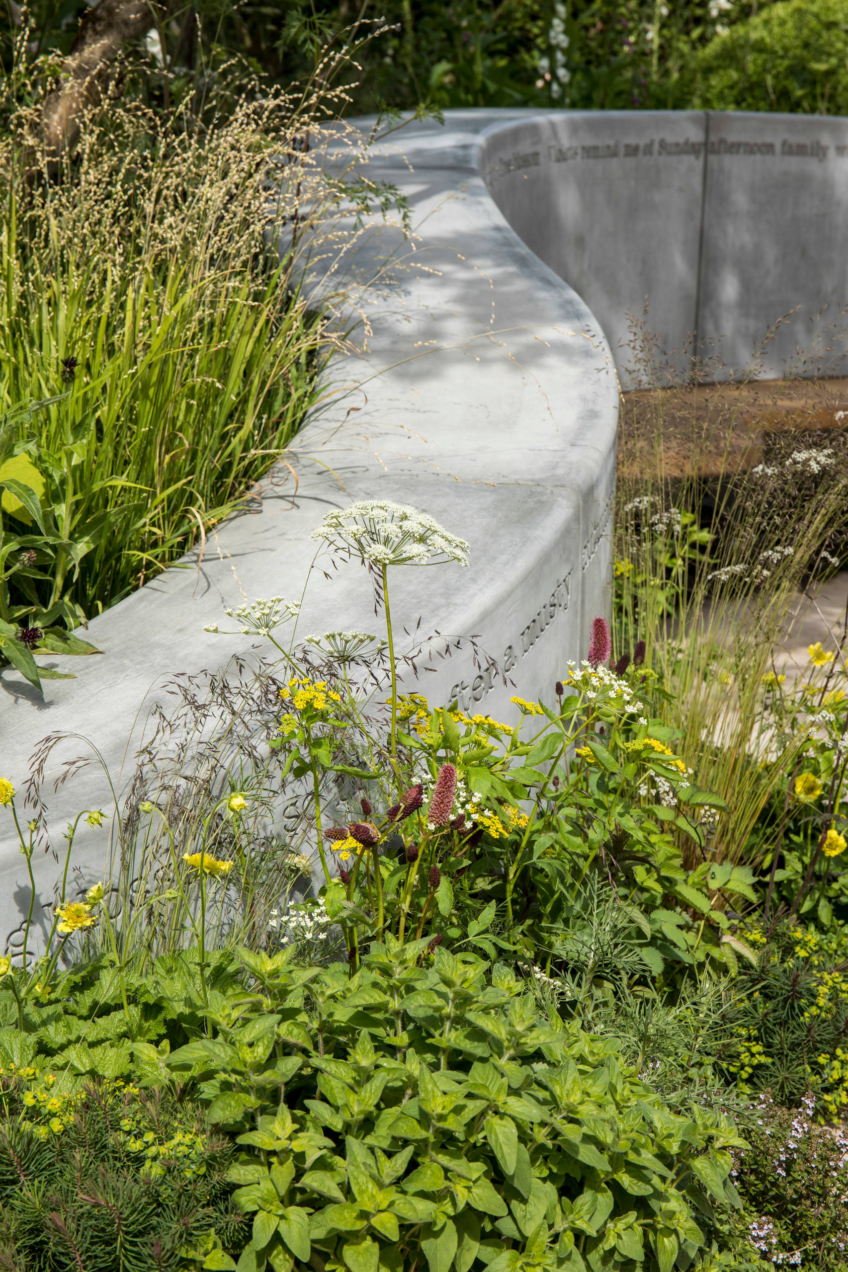 Как правильно: Уход за плодовыми деревьями и кустарниками