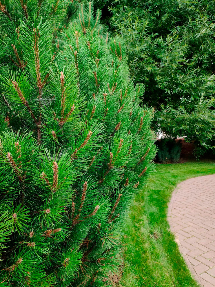 Нижегородский дворик