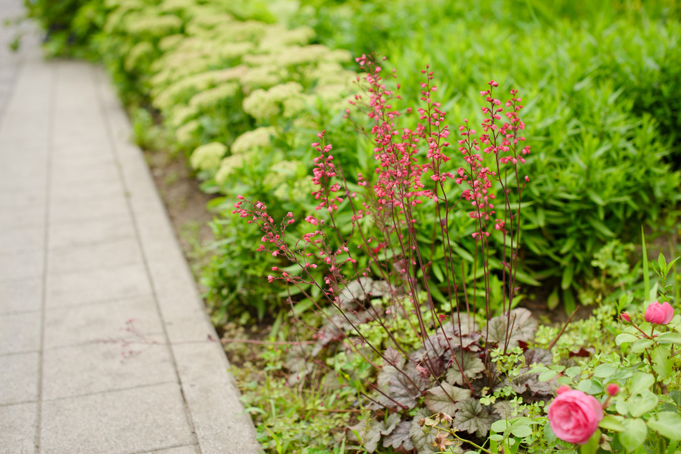 Бульвар на ул. Красной