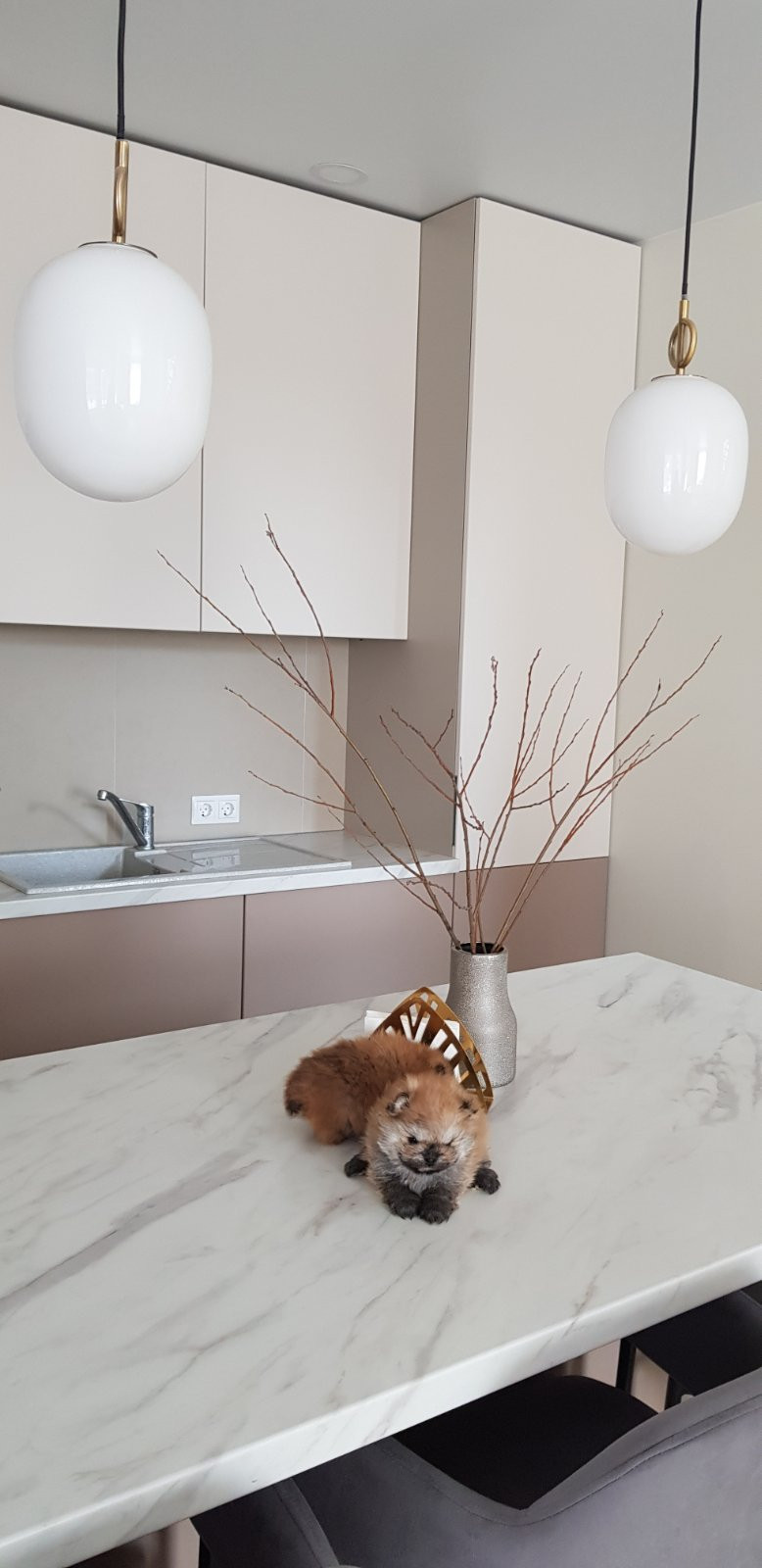 Кухня в частном доме