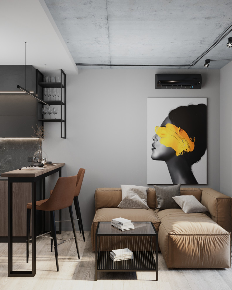 Квартира-студия в стиле Лофт