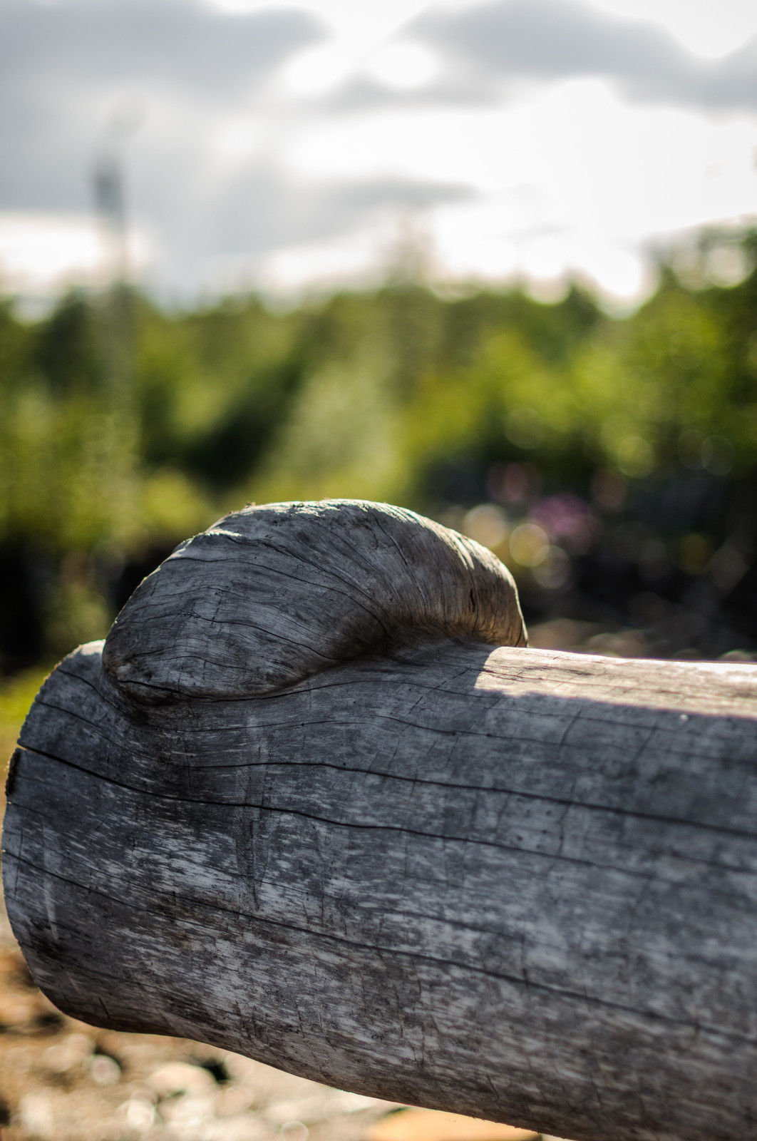 Производство и заготовка