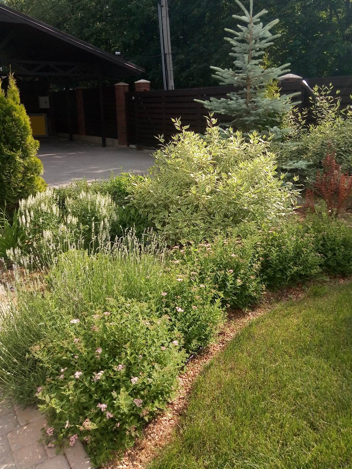 Сад в Рожновке