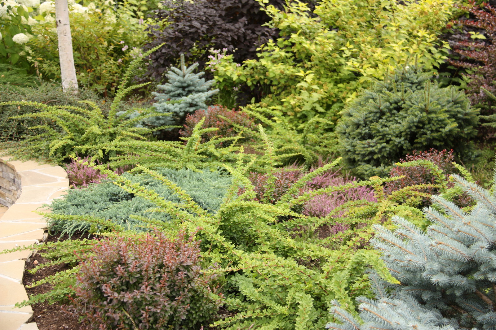 Проект недели: Сад с каменистым ручьём у пруда