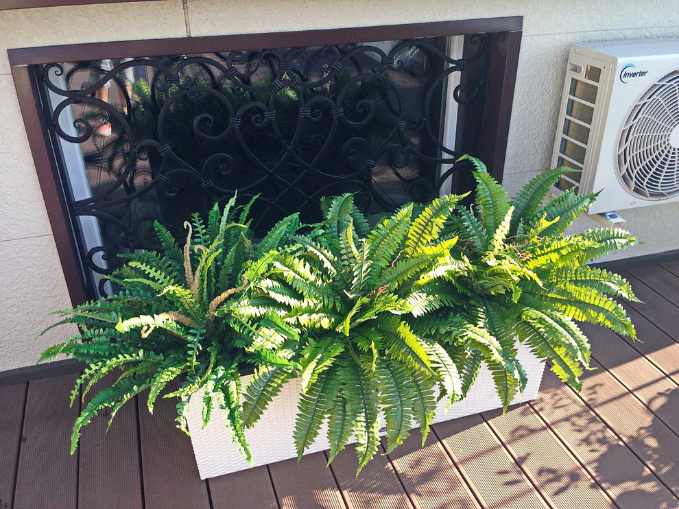 Озеленение частной крыши