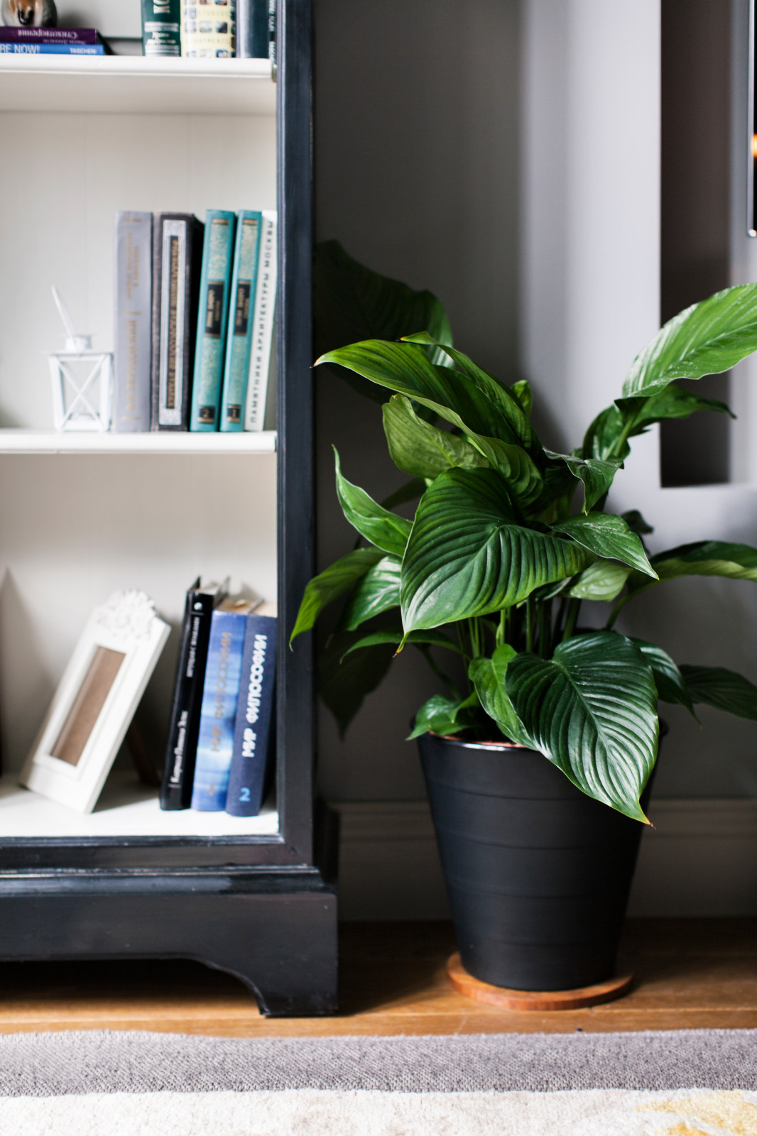 Оксана/ Покровка