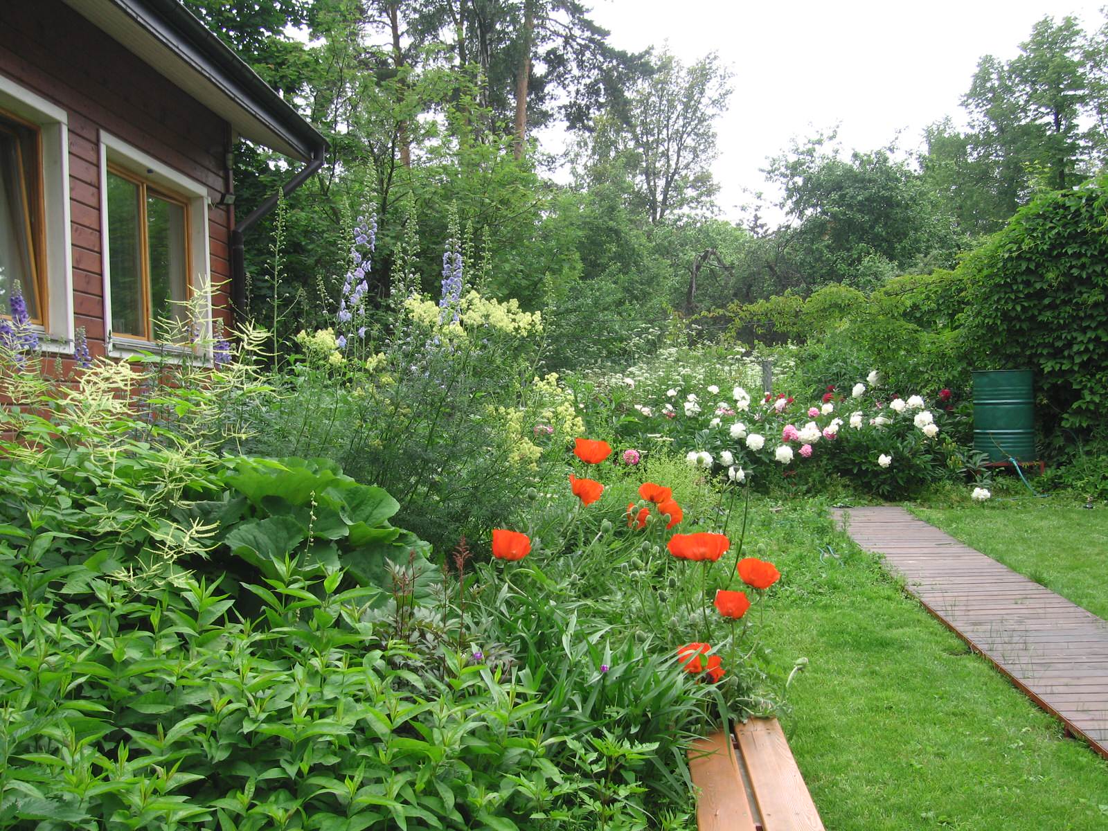 Спасибо Малевичу (в стиле супрематизма)