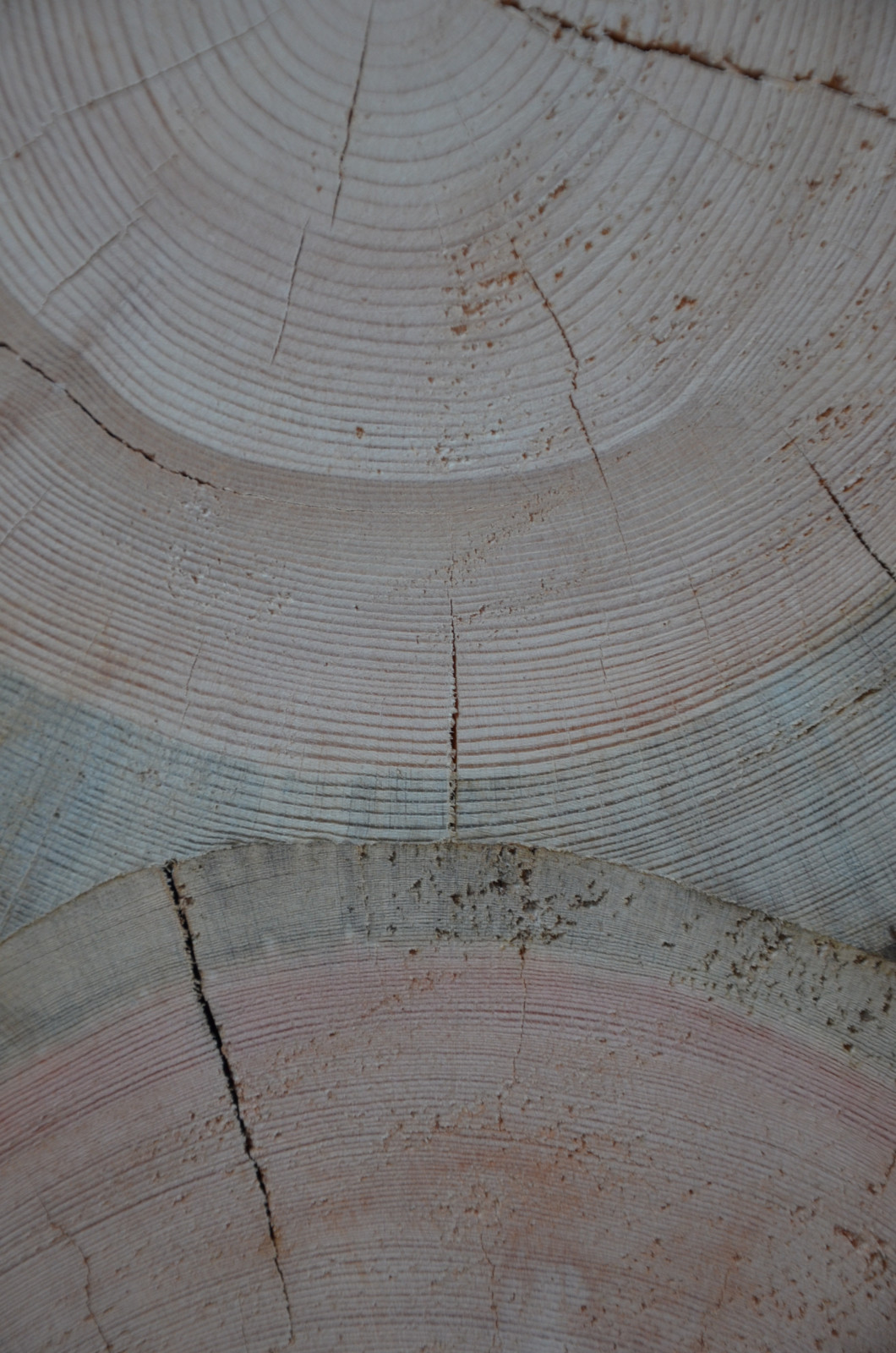 Избушка на опушке