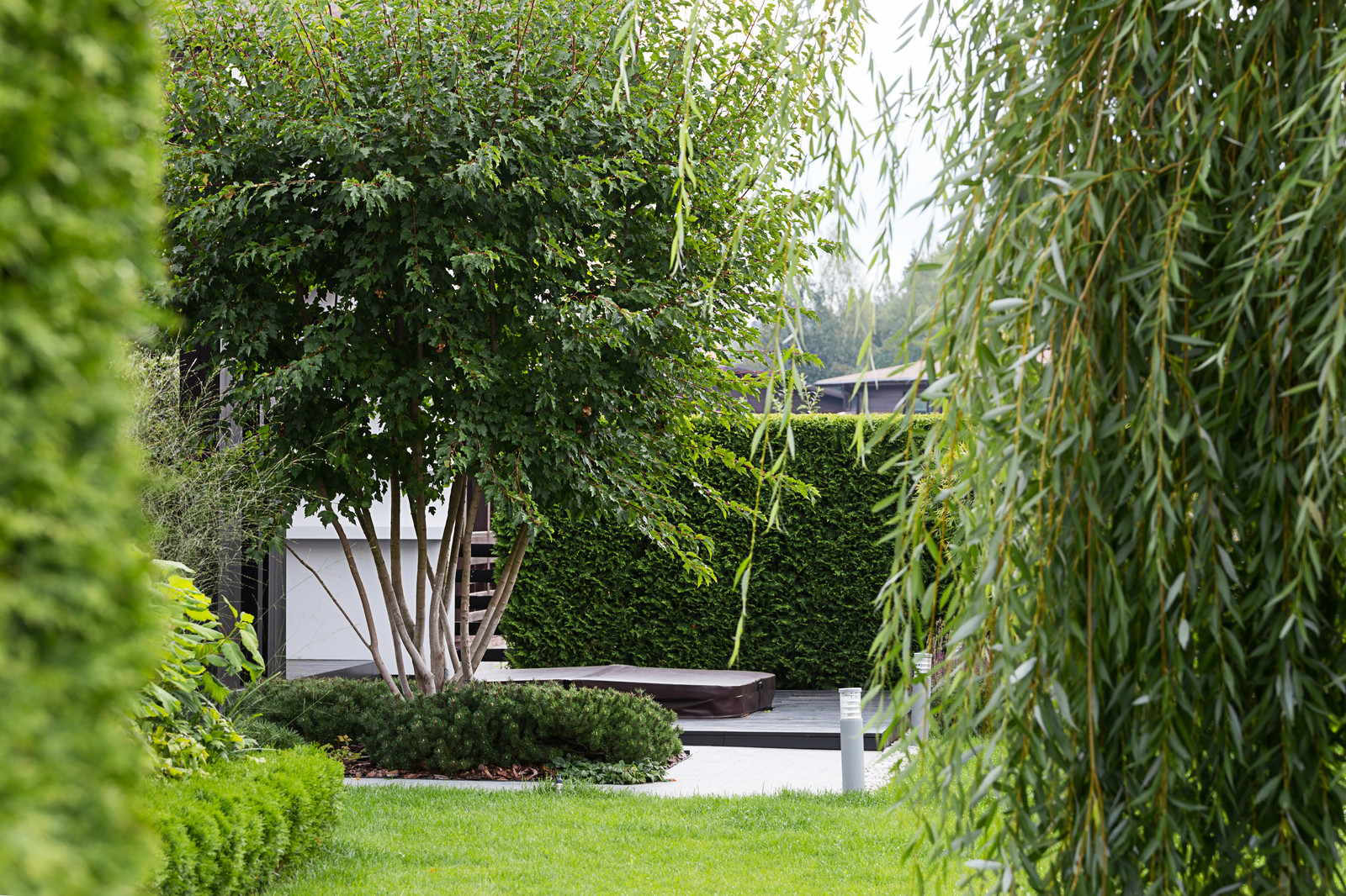 Обложка альбома: ландшафт