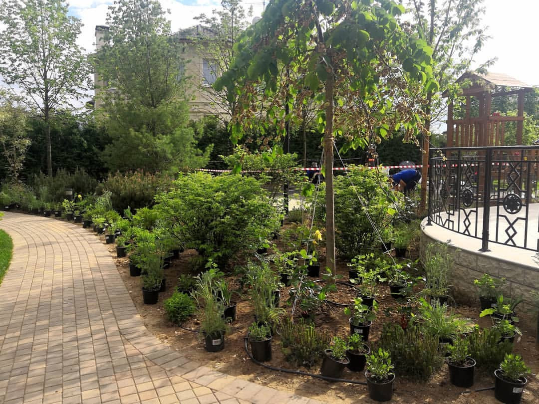 Landscape design of the territory (Moscow region)