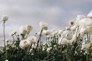 Мария Слепнева