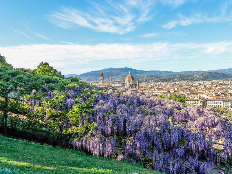 FLORENCE Природа создала совершенство