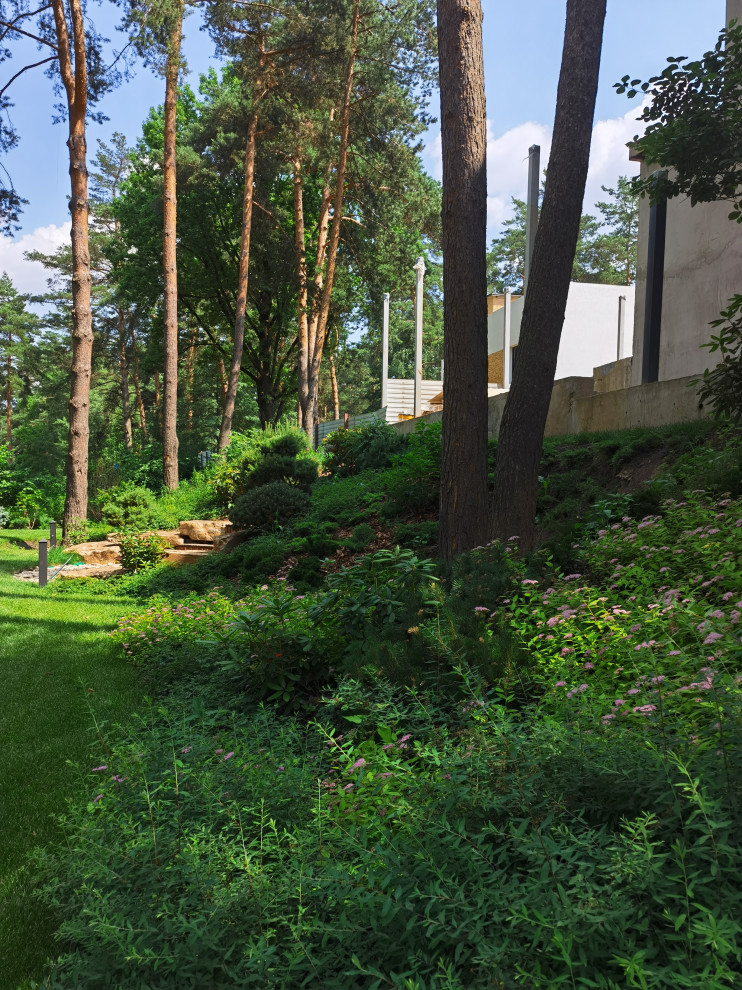 Обложка проекта: Суханово парк