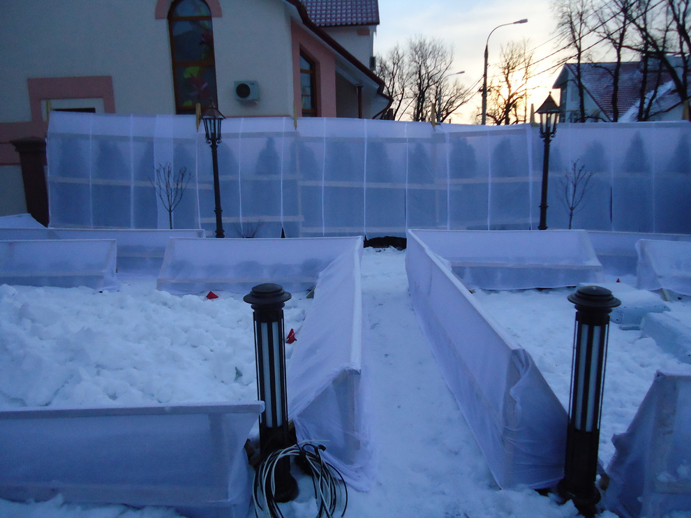 Работа над ошибками: Что пошло не так с розами