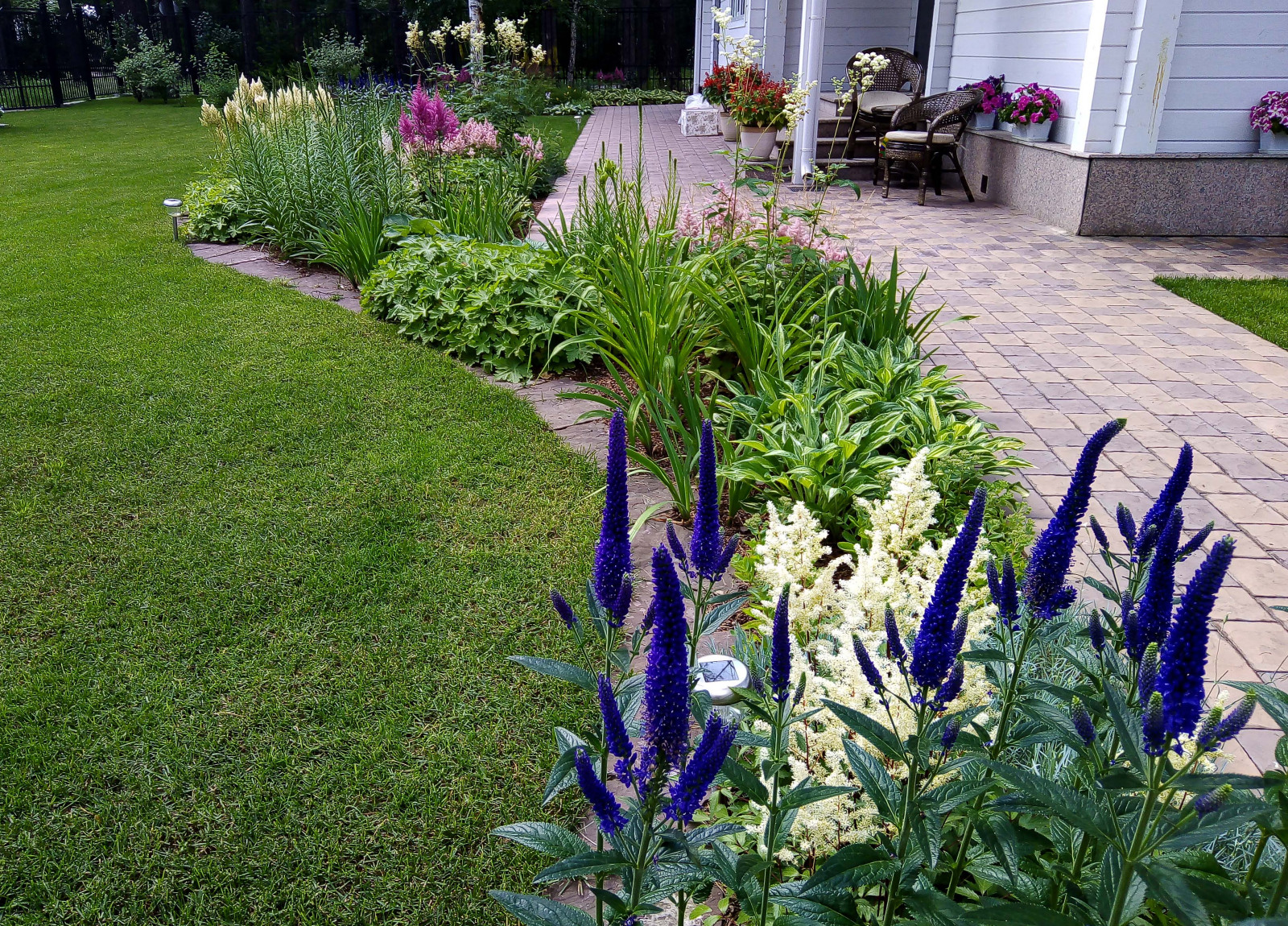 Цветники под пологом леса