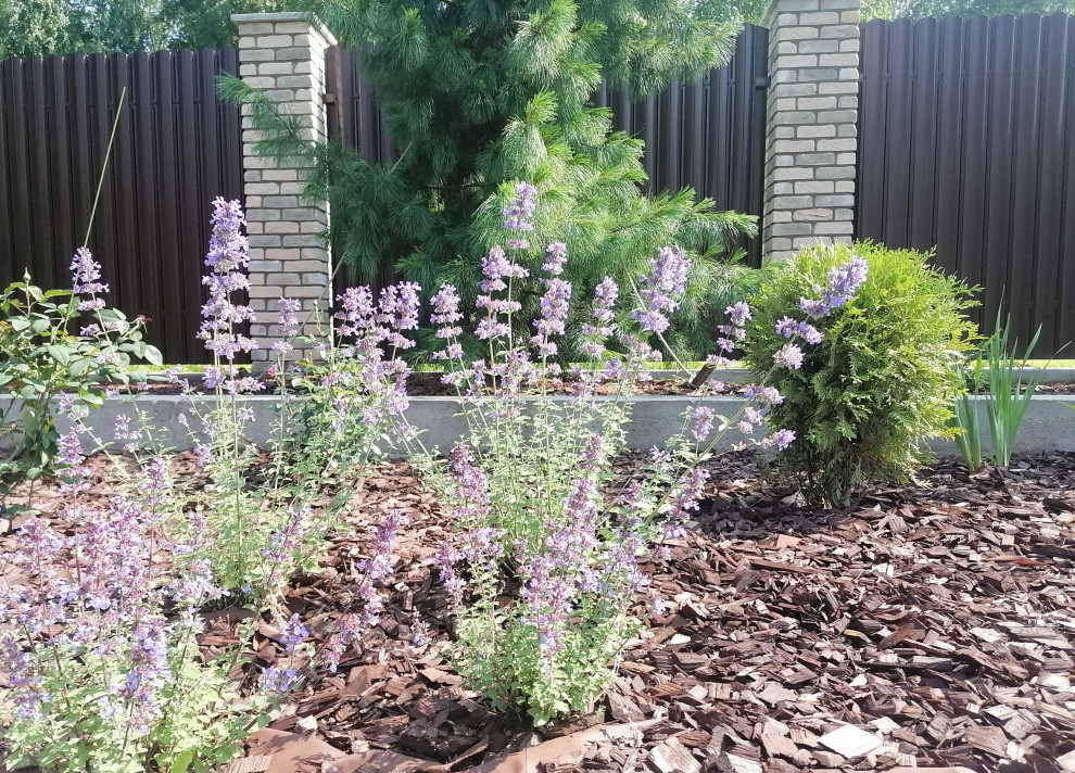 Небольшой сад в современном стиле