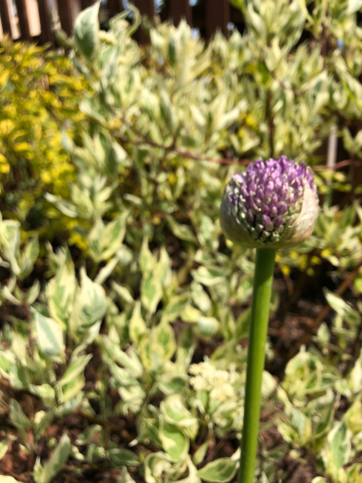 Обложка проекта: Витрокантри