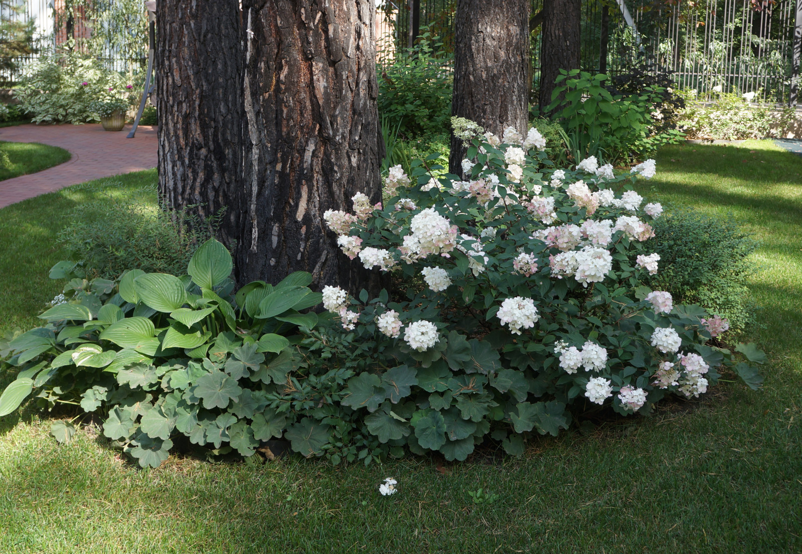 Белая усадьба