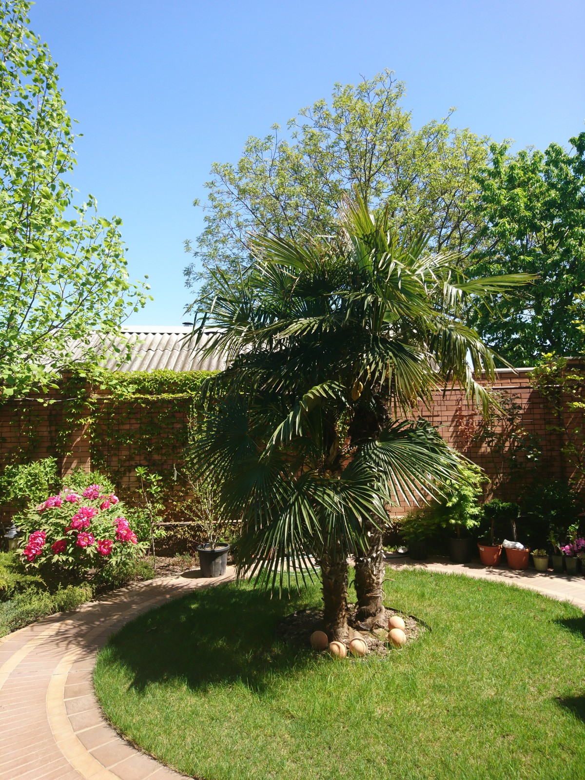 Дмитрий Евросад