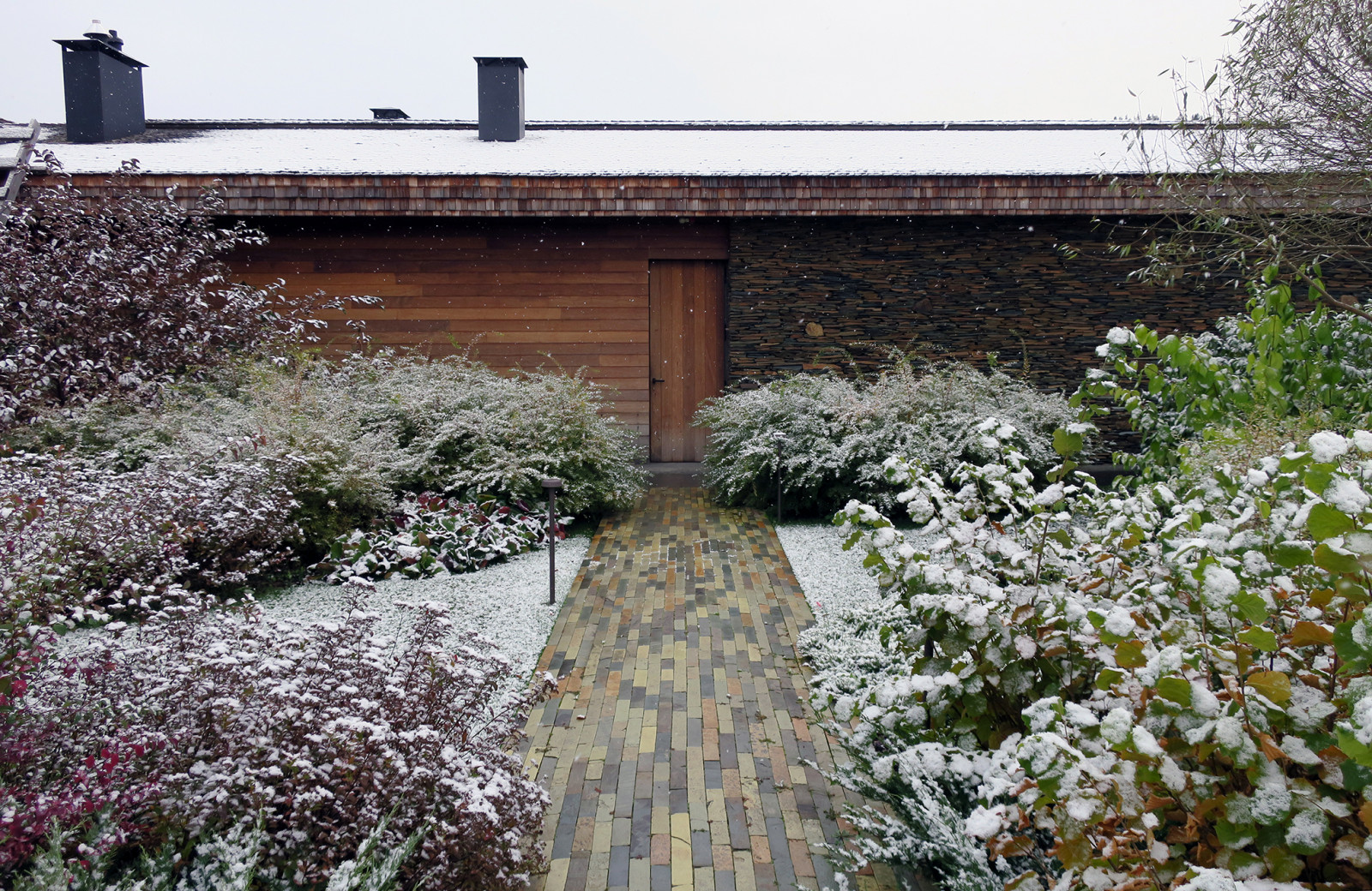 Новый пейзаж