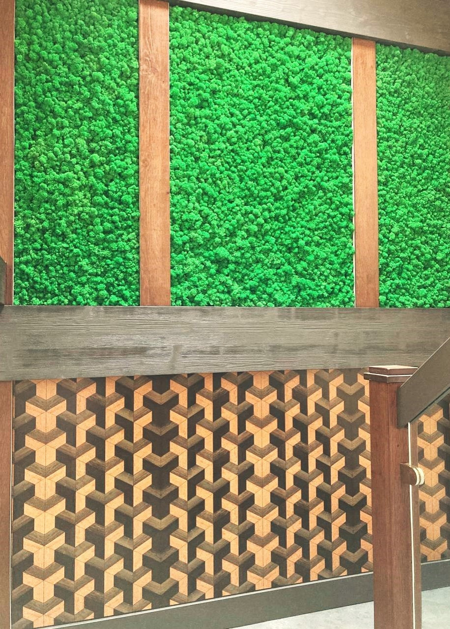 IMG_0583.PNG