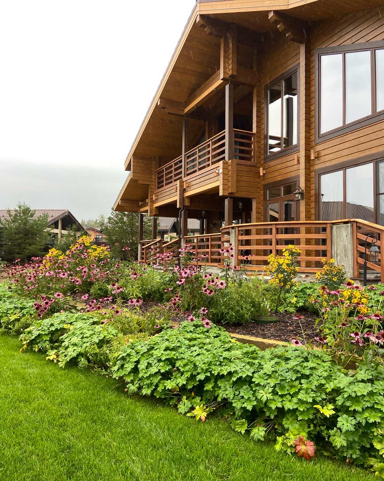 Участок для Дмитрия и Татьяны