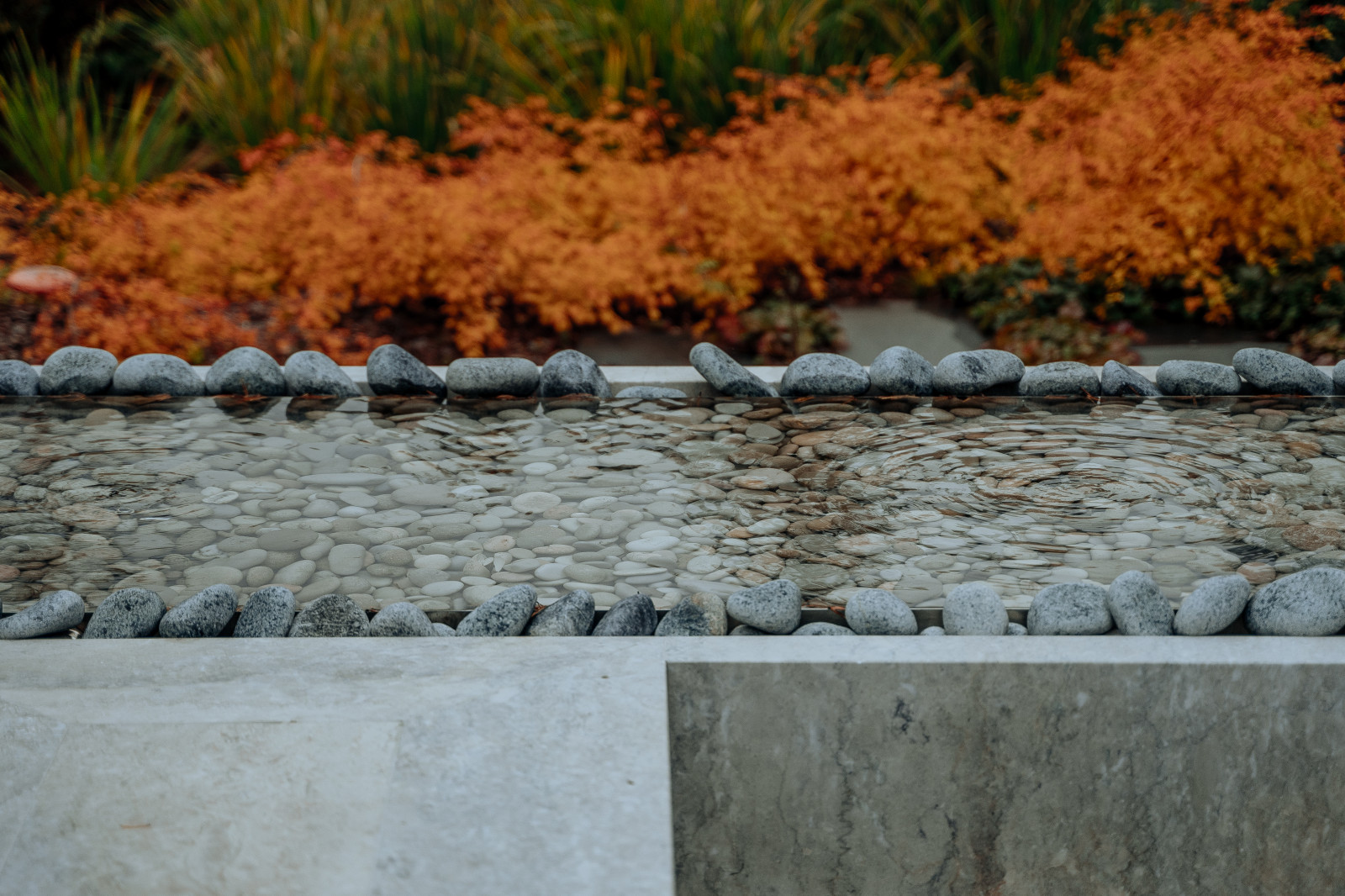 Северный сад