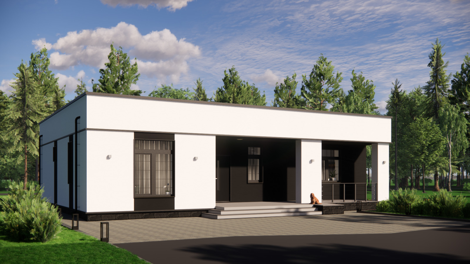 Проект дома Нарвик