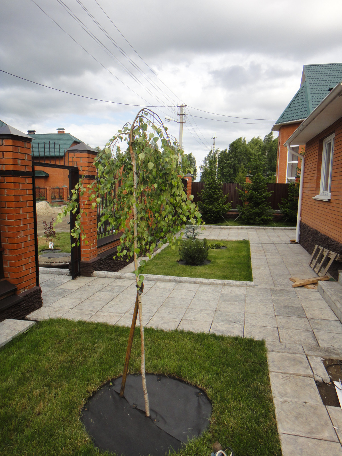 Ландшафтные работы и озеленение участка в Юрге