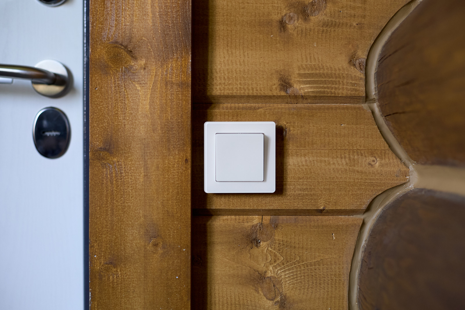 Werkel в новом проекте Дианы Дымниковой и Даши Слушаевой