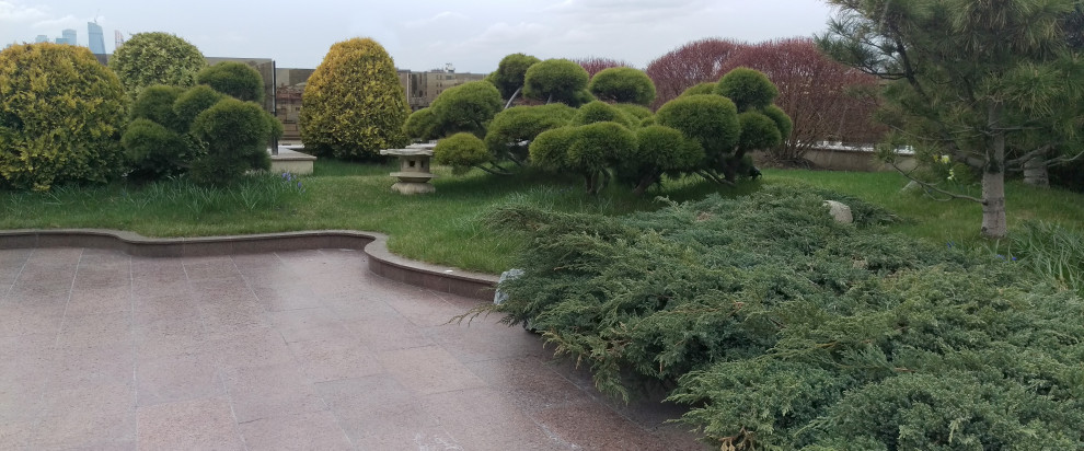 Обложка проекта: Большой сад на крыше