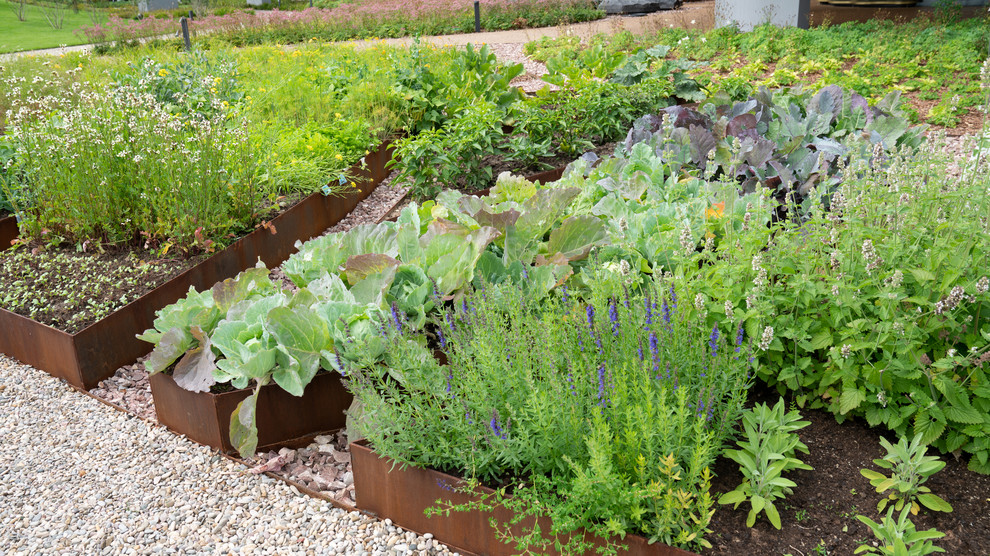 Природный сад. Жуковка XXI век. 2017-2018 гг.