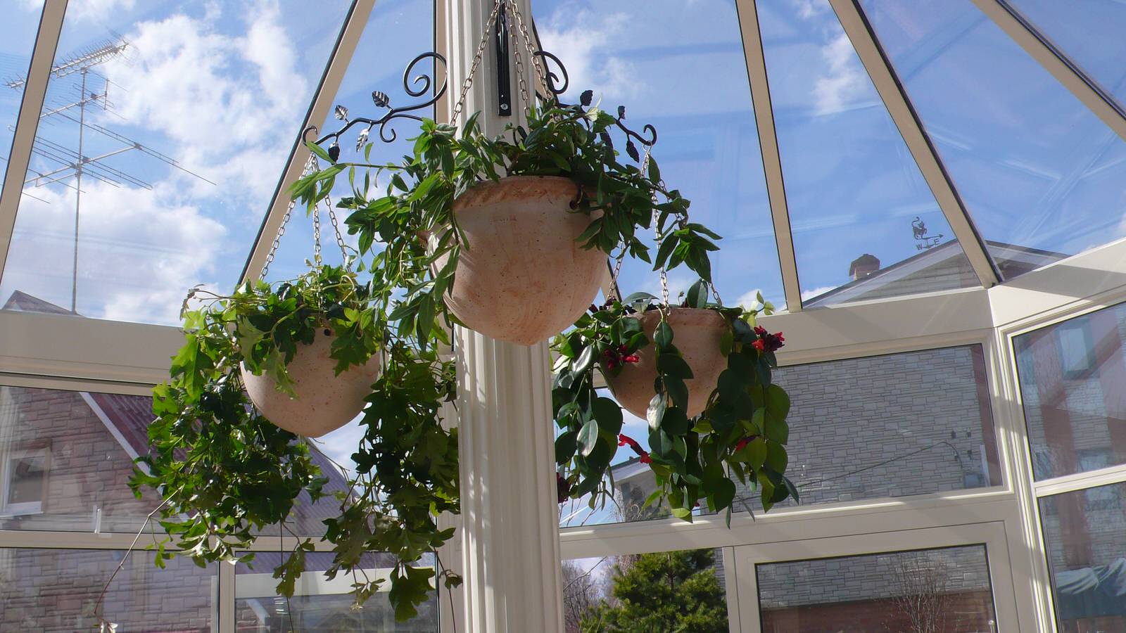 Зимние сады