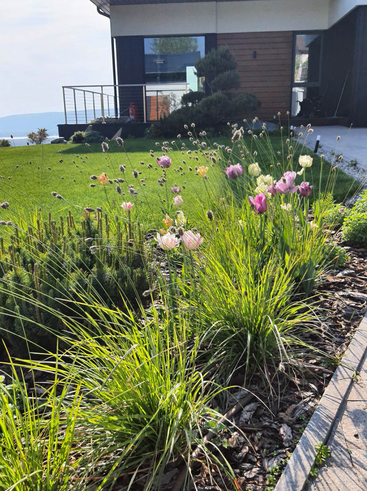 Сад с видом на Волгу